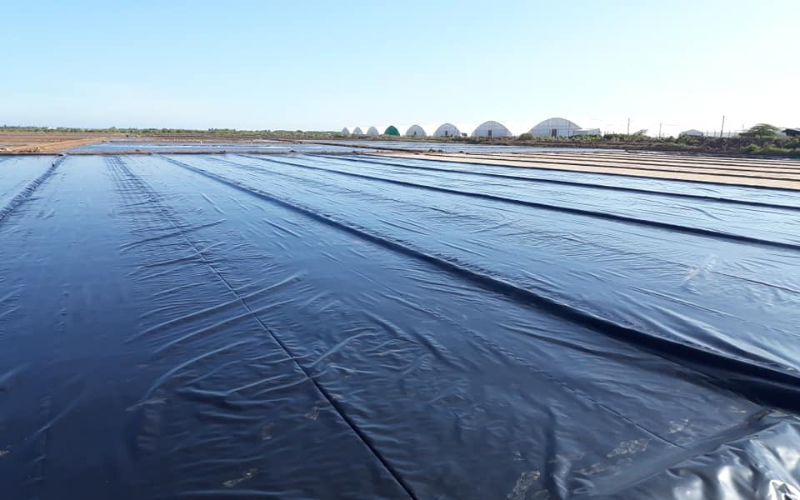 Báo giá bạt chống thấm mới nhất, rẻ và bền