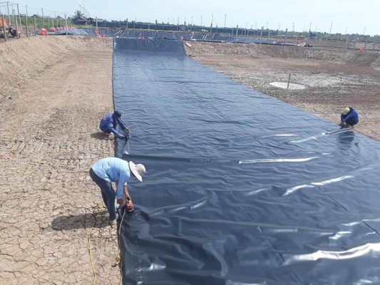 Bạt HDPE lót hồ tôm giúp chống thấm hiệu quả, bền lâu