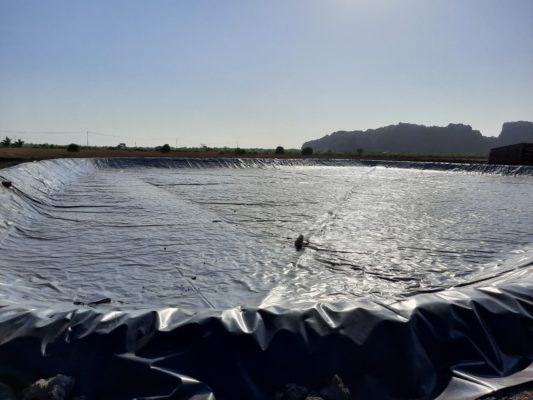 Bạt HDPE lót hồ tôm mang đến giải pháp nuôi tôm hiện đại