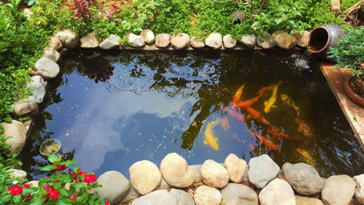 Bạt HDPE đảm bảo chống thấm, giữ nước cho hồ cá