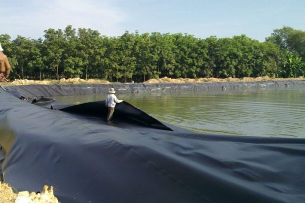 Sản phẩm đạt chuẩn quốc tế, bền bỉ và chịu lực vượt trội