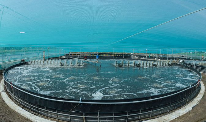 Chúng tôi cung cấp bạt HDPE đa dạng cho nhiều ứng dụng