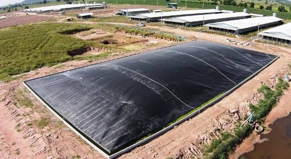 Giá hầm biogas HDPE hợp lý, bền bỉ và tiết kiệm chi phí