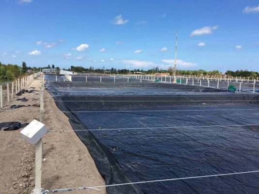 Bạt HDPE chống thấm tốt, bảo vệ ao tôm bền lâu