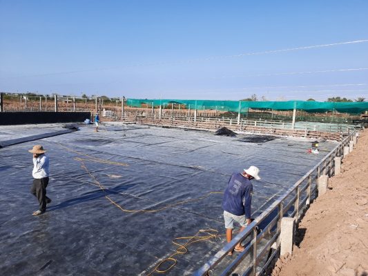 Bạt HDPE lót ao tôm giúp giữ nước và ngăn rò rỉ