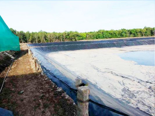 Khách hàng cần đơn vị uy tín, am hiểu khi mua màng lót