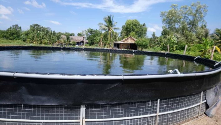 Nên chọn bạt lót hồ cá Tân Huy Hoàng vì độ bền cao