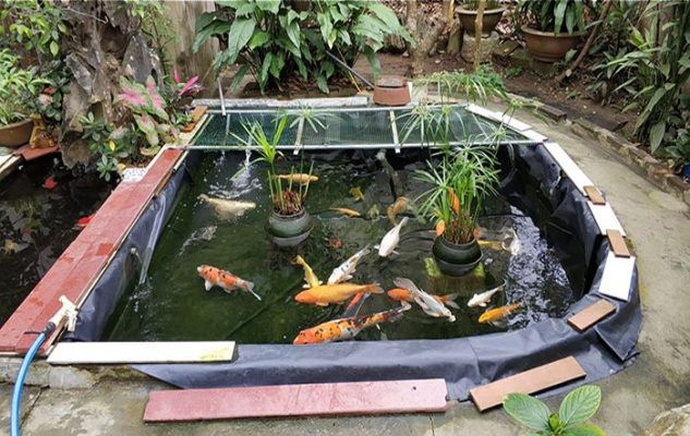 Trải bạt nuôi cá HDPE giúp giảm chi phí và tăng năng suất